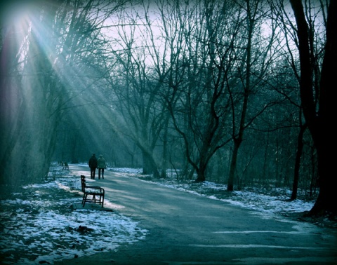 Kliknij na zdjęcie, żeby zobaczyć w pełnych wymiarach