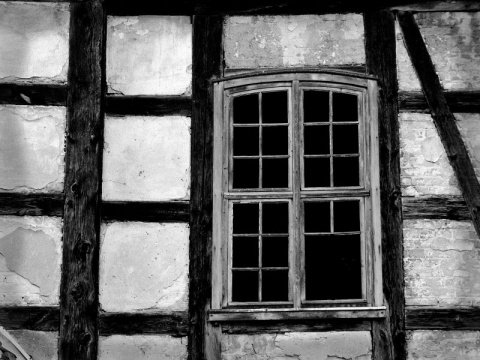 Kliknij na zdjęcie, żeby zobaczyć w pełnych wymiarach