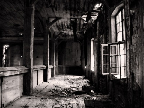 Kliknij na zdjęcie, żeby zobaczyć w pełnych wymiarach