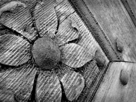 Kliknij na zdjęcie, żeby zobaczyć w pełnych wymiarach