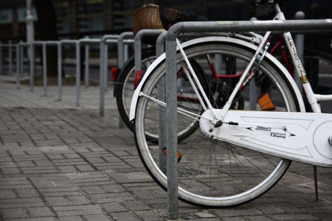 Kliknij na zdjęcie, żeby zobaczyć w pełnych wymiarach