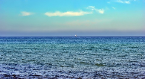 Kliknij na zdjęcie, żeby zobaczyć w pełnych wymiarach