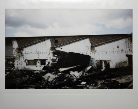 Kliknij na zdjęcie, żeby zobaczyć w pełnych wymiarach