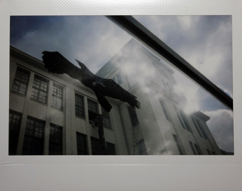 Kliknij na zdjęcie, żeby zobaczyć w pełnych wymiarach