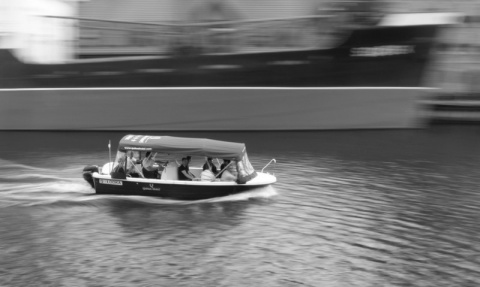 Kliknij na zdjęcie, żeby zobaczyć w pełnych wymiarach