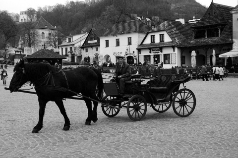Kliknij na zdjęcie, żeby zobaczyć w pełnych wymiarach