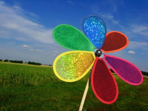 Kliknij na zdjęcie, żeby zobaczyć w pełnych wymiarach