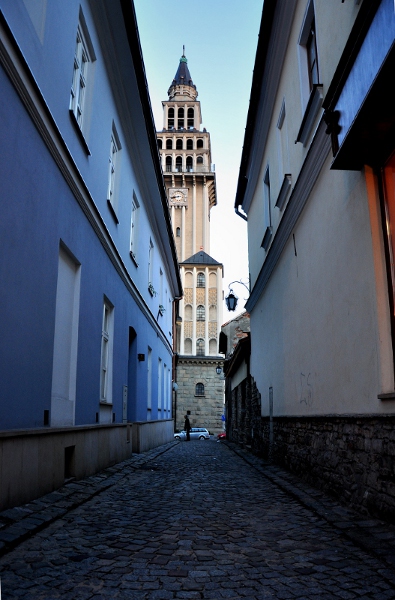 Kliknij na zdjęcie, żeby zobaczyć w pełnych wymiarach