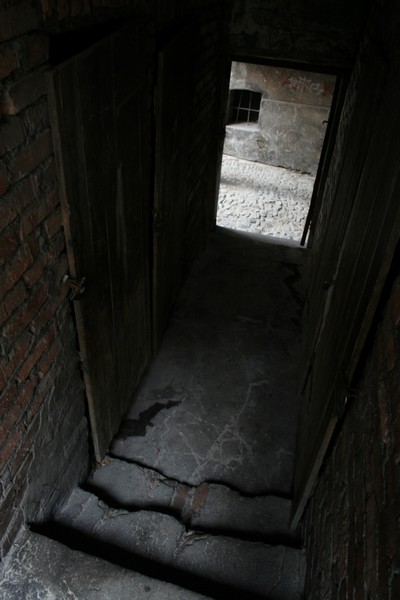 Kliknij na zdjęcie, żeby zobaczyć w pełnych wymiarach