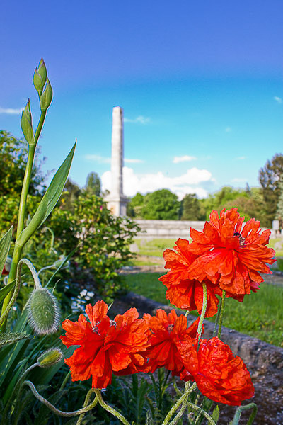 Kliknij na zdjęcie, żeby zobaczyć w pełnych wymiarach