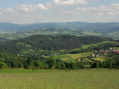 Kliknij na zdjęcie, żeby zobaczyć w pełnych wymiarach