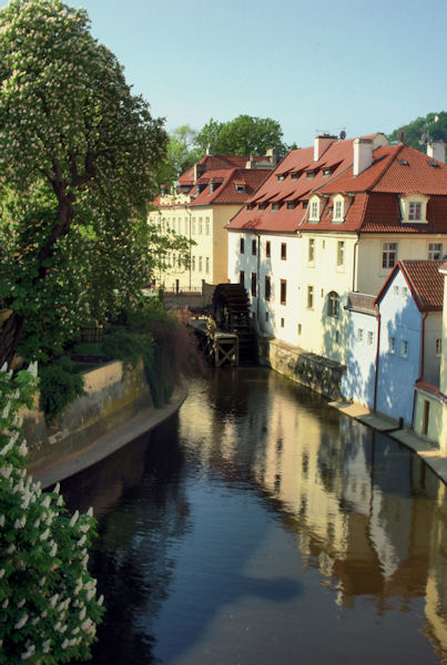 Kliknij na zdjęcie, żeby zobaczyć w pełnych wymiarach