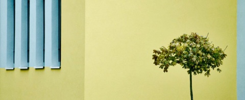 Kliknij na zdjęcie, żeby zobaczyć w pełnych wymiarach