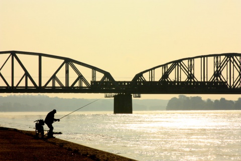 Kliknij na zdjęcie, żeby zobaczyć w pełnych wymiarach