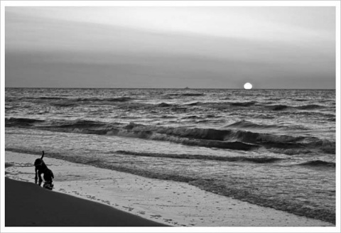 Kliknij na zdjęcie, żeby zobaczyć w pełnych wymiarach