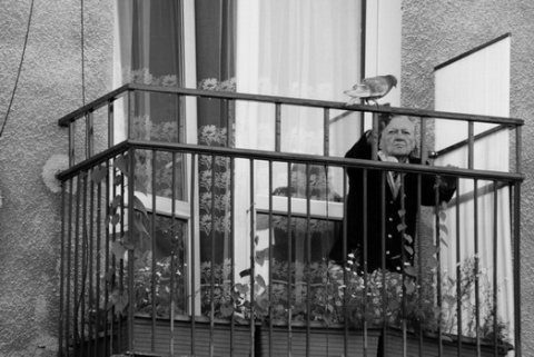 Kliknij na zdjęcie, żeby zobaczyć w pełnych wymiarach
