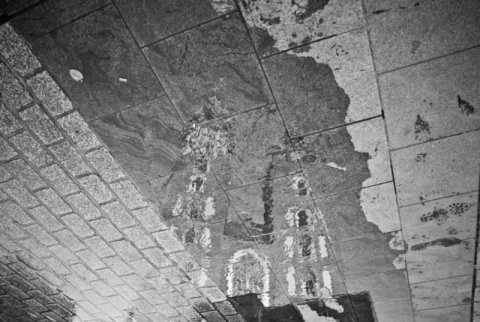 Kliknij na zdjęcie, żeby zobaczyć w pełnych wymiarach