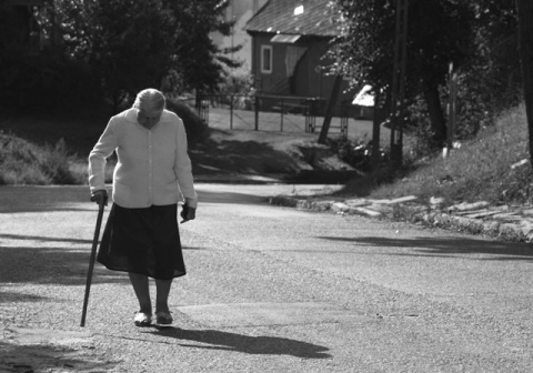 Kliknij na zdjęcie, żeby zobaczyć w pełnych wymiarach