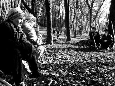 Kliknij na zdjęcie, żeby zobaczyć w pełnych wymiarach