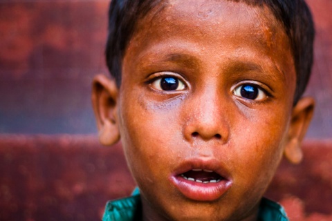 Kliknij na zdjęcie, żeby zobaczyć w pełnych wymiarach