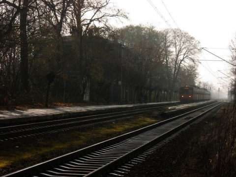 Kliknij na zdjęcie, żeby zobaczyć w pełnych wymiarach