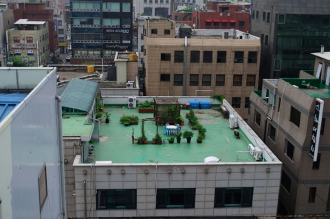 Kliknij na zdjęcie, żeby zobaczyć w pełnych wymiarach