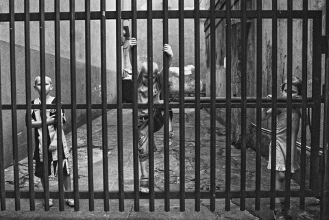 Kliknij na zdjęcie, żeby zobaczyć w pełnych wymiarach