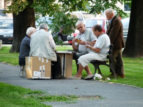 Kliknij na zdjęcie, żeby zobaczyć w pełnych wymiarach