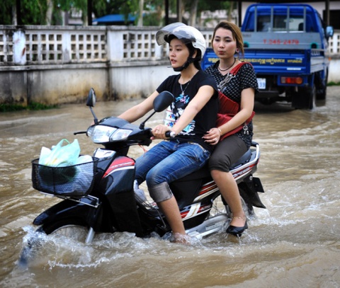 Kliknij na zdjęcie, żeby zobaczyć w pełnych wymiarach