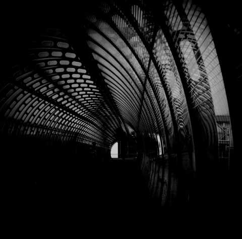 Kliknij na zdjęcie, żeby zobaczyć w pełnych wymiarach