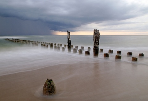 Kliknij na zdjęcie, żeby zobaczyć w pełnych wymiarach