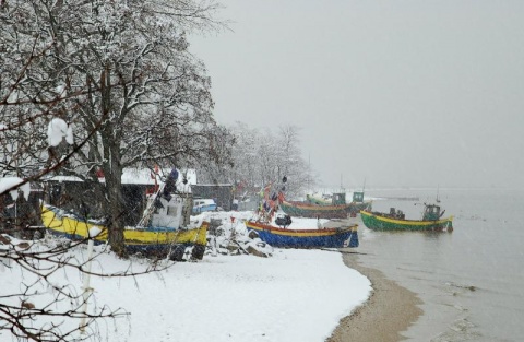 Kliknij na zdjęcie, żeby zobaczyć w pełnych wymiarach