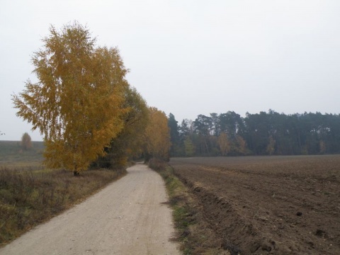 Kliknij na zdjęcie, żeby zobaczyć w pełnych wymiarach