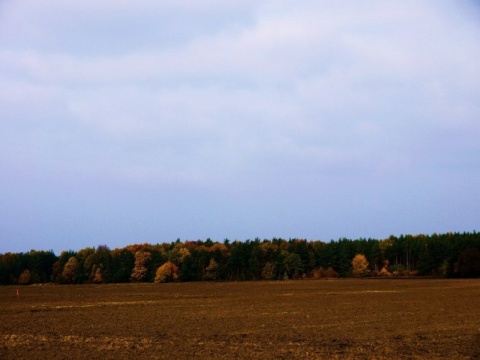 Kliknij na zdjęcie, żeby zobaczyć w pełnych wymiarach