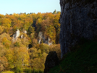 Kliknij na zdjęcie, żeby zobaczyć w pełnych wymiarach