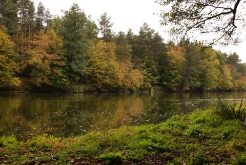 Kliknij na zdjęcie, żeby zobaczyć w pełnych wymiarach