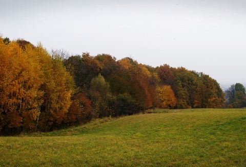 Kliknij na zdjęcie, żeby zobaczyć w pełnych wymiarach