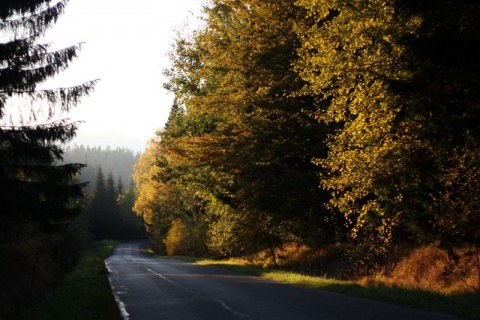 Kliknij na zdjęcie, żeby zobaczyć w pełnych wymiarach