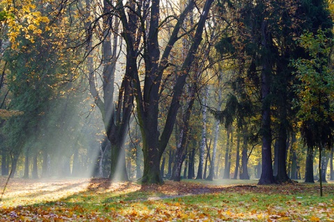 Kliknij na zdjęcie, żeby zobaczyć w pełnych wymiarach