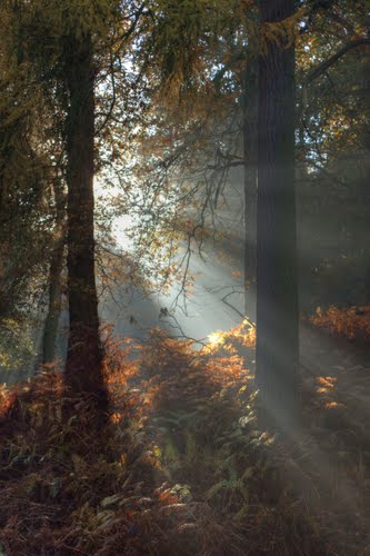 Kliknij na zdjęcie, żeby zobaczyć w pełnych wymiarach