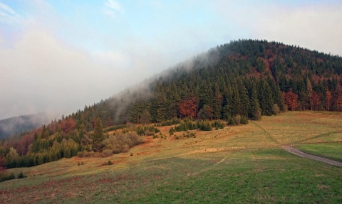 Kliknij na zdjęcie, żeby zobaczyć w pełnych wymiarach