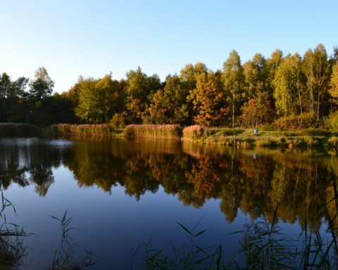 Kliknij na zdjęcie, żeby zobaczyć w pełnych wymiarach