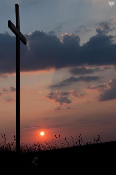 Kliknij na zdjęcie, żeby zobaczyć w pełnych wymiarach