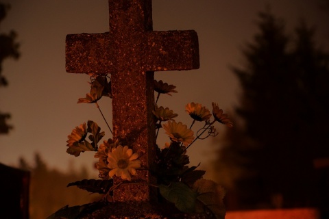Kliknij na zdjęcie, żeby zobaczyć w pełnych wymiarach