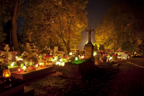 Kliknij na zdjęcie, żeby zobaczyć w pełnych wymiarach