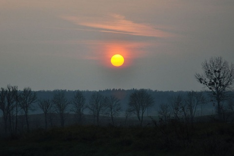 Kliknij na zdjęcie, żeby zobaczyć w pełnych wymiarach
