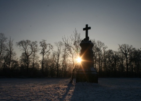 Kliknij na zdjęcie, żeby zobaczyć w pełnych wymiarach