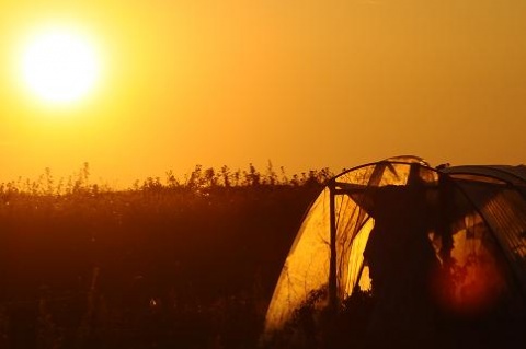 Kliknij na zdjęcie, żeby zobaczyć w pełnych wymiarach