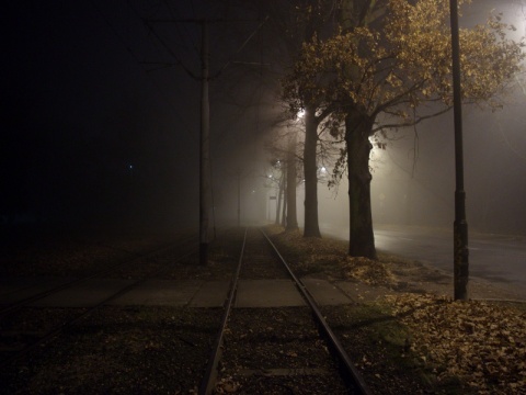 Kliknij na zdjęcie, żeby zobaczyć w pełnych wymiarach
