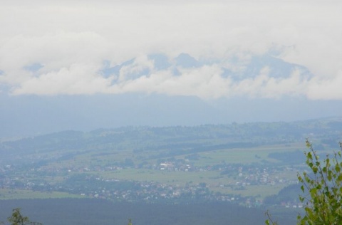 Kliknij na zdjęcie, żeby zobaczyć w pełnych wymiarach
